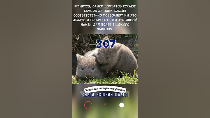 ОСОБЕННОСТИ ФЛИРТА У ВОМБАТОВ - КОРОТКИЕ ИНТЕРЕСНЫЕ ФАКТЫ #307