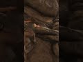 Lara Croft Begins Her Journey in Syria 🏛️🔥 | Rise of the Tomb Raider #shorts
