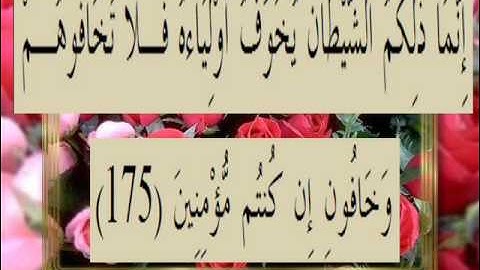 القران الكريم سورة آل عمران الأية 175