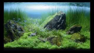 Aquarium - Natural Beauty HD / Красота аквариума 2009 - HD