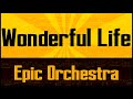Black  wonderful life  epic orchestra