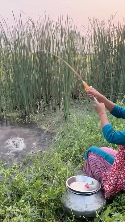 Village lady catching big monster fish 🎣 in big canal and used poper food #bass #fishing #village