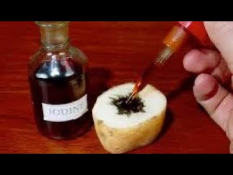 الكشف عن النشا في الطعام للصف التاسع