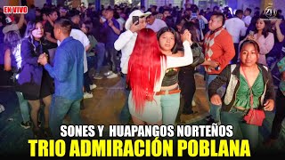 Sones y Huapangos Norteños En vivo con Trío Admiración Poblana