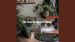 Friendly Backdrops for Limitless Overtones