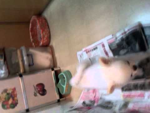 Moka 好有性格 part 3