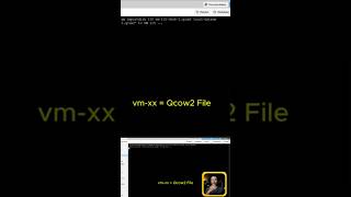 How to make a QCOW2 image become a disk VM in Proxmox using the command `qm importdisk` #proxmox