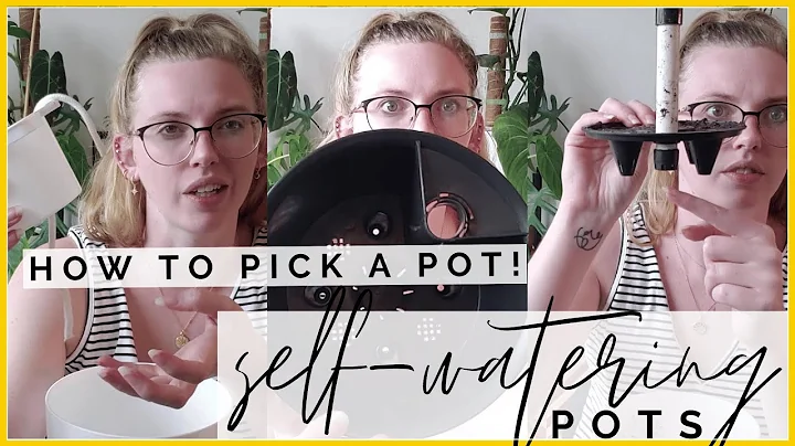 How to Pick A Self Watering Pot | Self Watering Po...