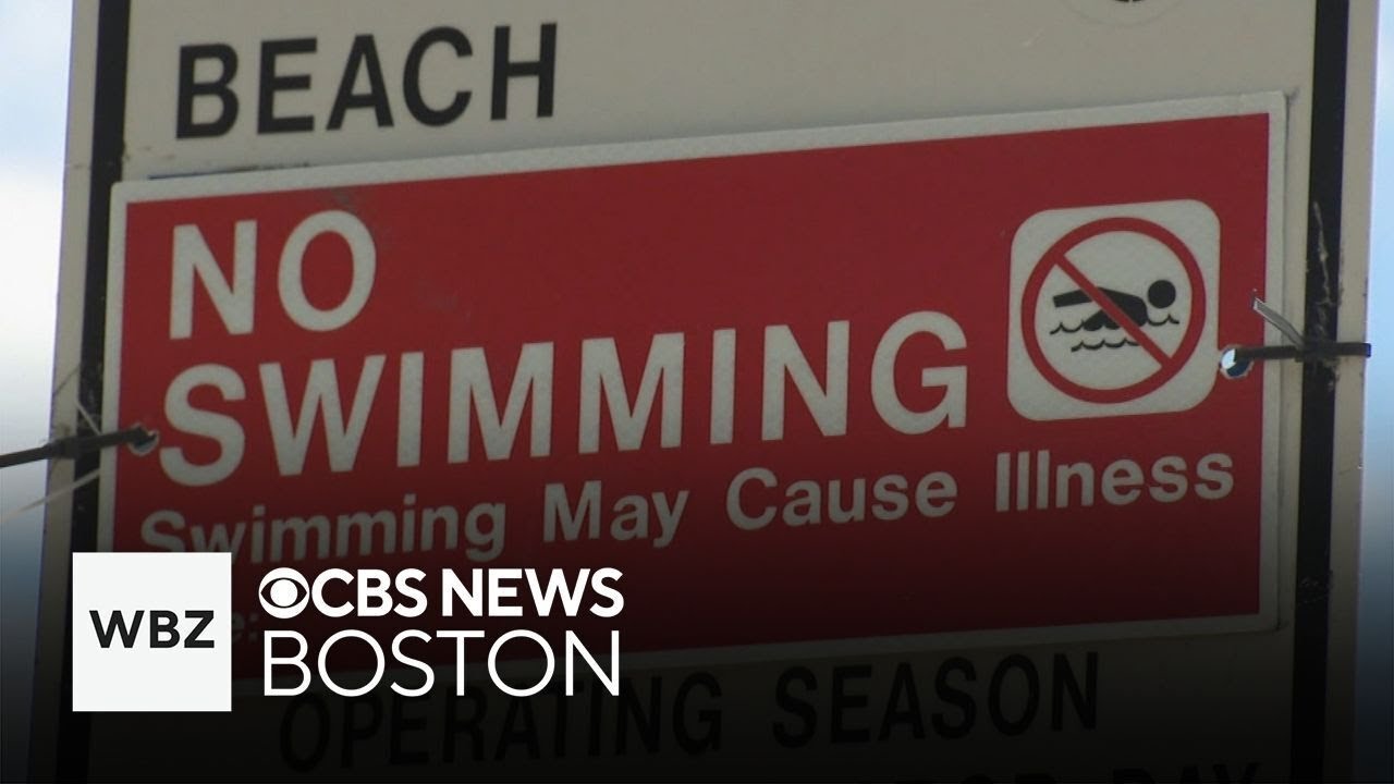 50 Massachusetts beaches closed weekend before Labor Day due to