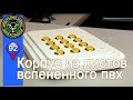 Корпус из ПВХ для самодельных конструкций.