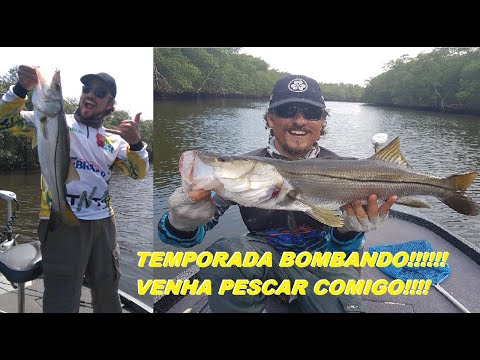 TEMPORADA DO ROBALO BOMBANDO!!!!! - VENHA PESCAR COMIGO!!!!