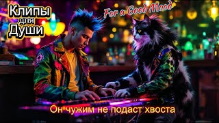 картинка: ЧУЖИМ ОН НЕ ПОДАСТ ХВОСТА -  Клипы для Души ТОП - 10  Music Videos #русские_песни #музыка #music