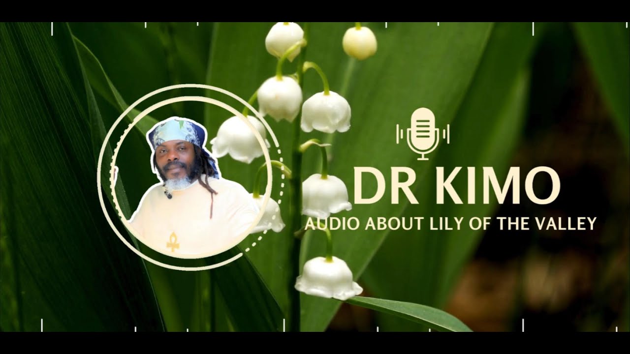 Discover The AMAZING Health Benefits Of Lily Of The Valley