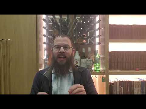 איך נתמודד עם הווריאנטים החדשים של הקורונה פרשת ויגש עם הרב דוד כץ חבד ווסט המפסטד לונדון