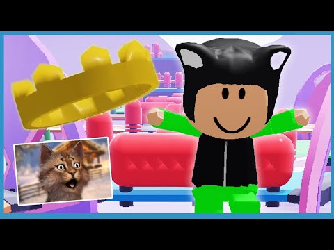 noob and a dog roblox