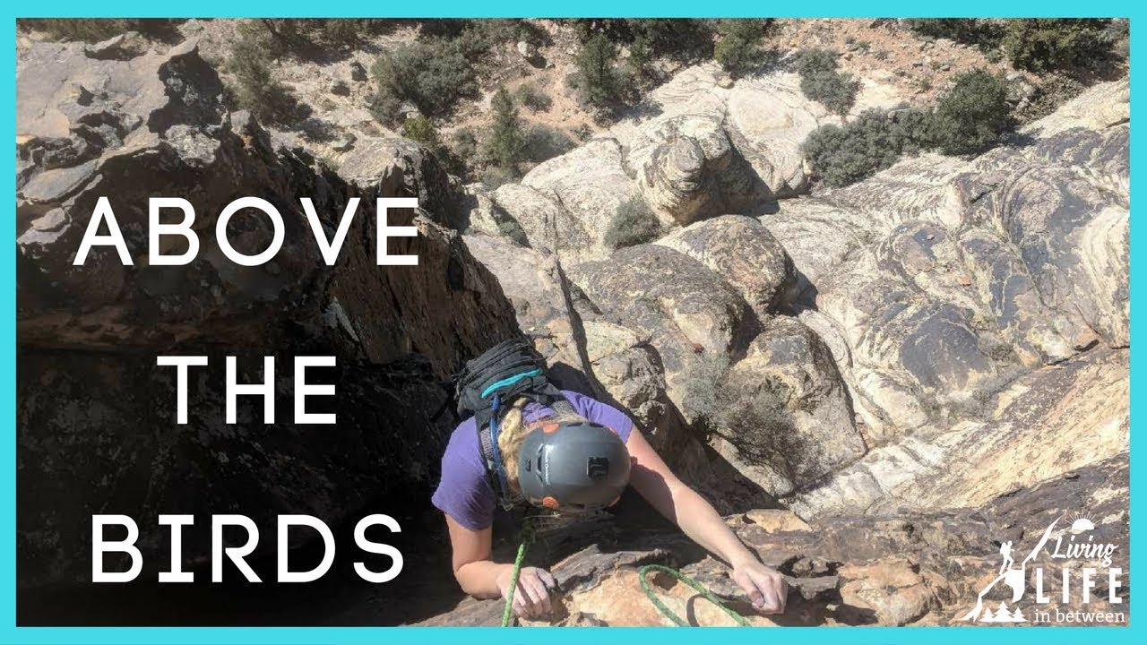 Rock Climbing in St. Utah S1E17 YouTube