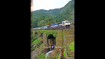 shorts feed YouTube search Channel pages Browse features Playlists#youtubeshorts #vairal#trending24