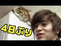 4日ぶりに帰ってきた飼主を猫は覚えている？