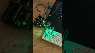 Embedded Systems Assignment 1.1 (Blink Switch)
