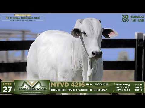 LOTE 27   MTVD 4216