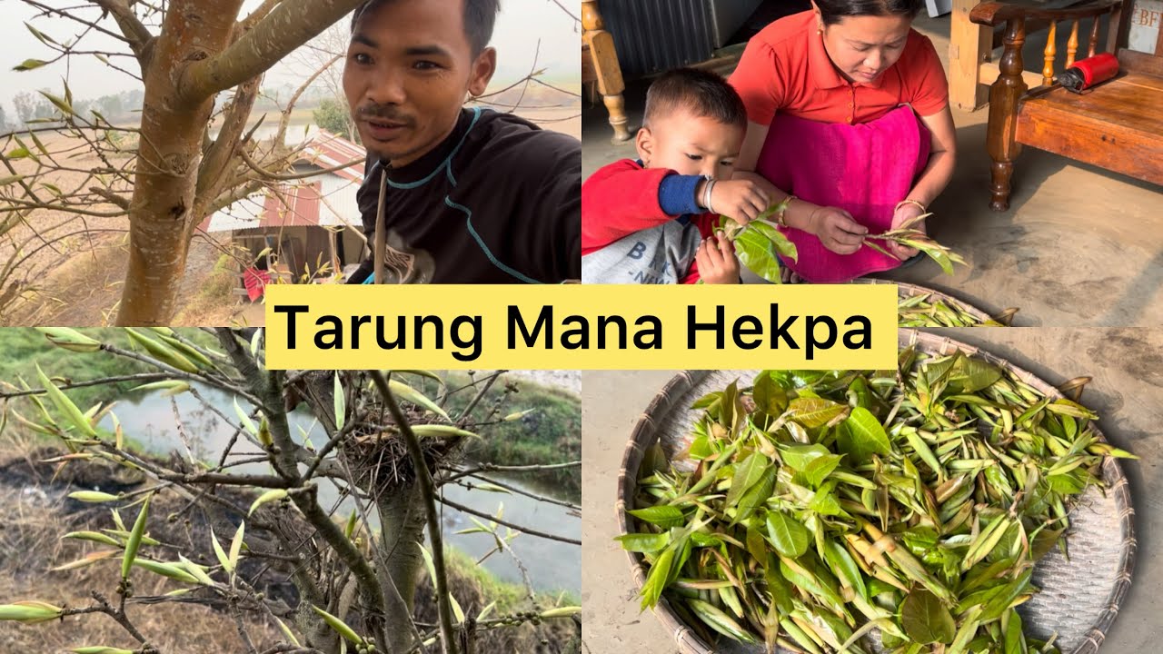 Tarung Hairiba Yengsang Asi Yamna Haoba Yensangni 