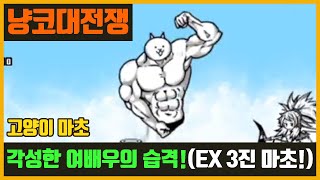 【냥코대전쟁】 각성한 여배우의 습격! / 여배우 진화로의 길 / 고양이 마초 screenshot 3