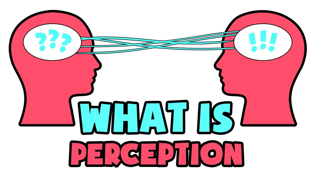 What Is Perception | Explained In 2 Min
