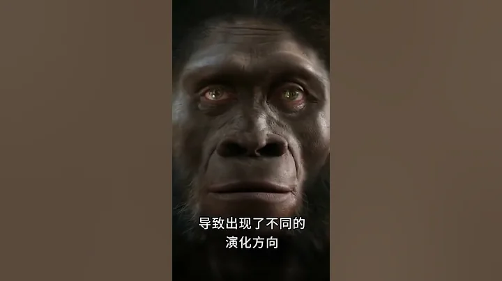 现在的猿为什么不再进化成人？ - 天天要闻