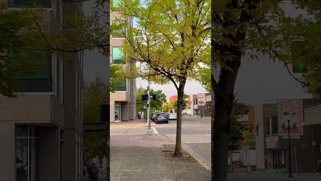 Downtown Eugene Oregon Walk Fall Walk 