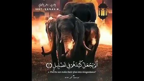 105- سورة الفيل بصوت الشيخ ماهر المعيقلي