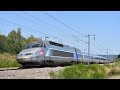 TGV Atlantique, Ouigo, TGV Océane - LGV Atlantique (Paris - Bordeaux/Rennes) - Août 2018