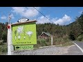 Working at a Market Garden | Root Bottom Farm
