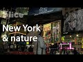 New york vs wild  un territoire  partager  tranche