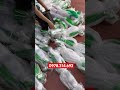 DÂY BUỘC GIÀN LƯỚI. Lh 0978.314.693
