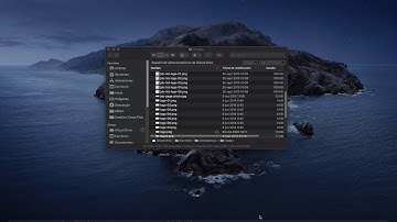 TMS Web Core for Visual Studio Code - Creating a website - Part 3 - Modifying the template