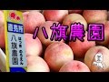 八旗農園 あらかわの桃 【 Travel Japan うろうろ和歌山 】和歌山県紀の川市桃山町　japanese peach