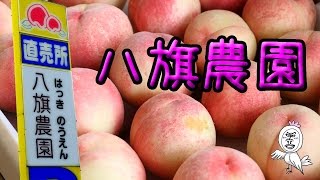 八旗農園 あらかわの桃 【 Travel Japan うろうろ和歌山 】和歌山県紀の川市桃山町　japanese peach