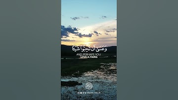 سورة البقرة - الآية [216] - القارئ : ماهر المعيقلي