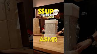 Clean SFF PC Build - SSUPD Meshroom V2