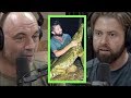 Forrest Galante Rediscovered Thought to be Extinct Caiman | Joe Rogan