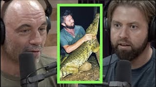 Forrest Galante Rediscovered Thought to be Extinct Caiman | Joe Rogan