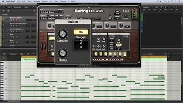 String Studio VS-2 Tutorials—Play View