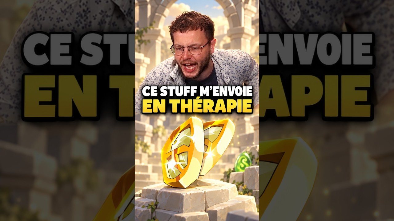 Le stuff qui m’a envoyé en THÉRAPIE sur DOFUS