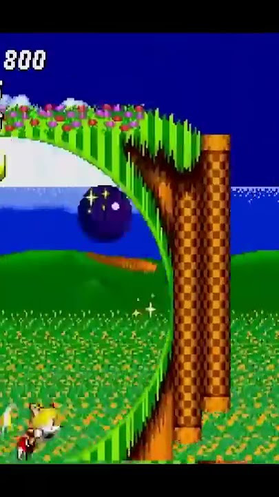 Todos os JOGOs de ZOEIRA do SONIC, Sunky the Game