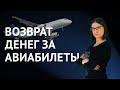Возврат денег за авиабилеты: что придумало Правительство РФ