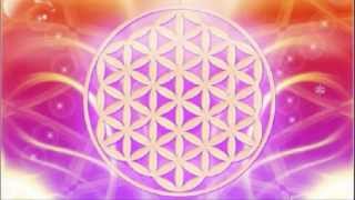 Unified Heart Merkaba Activation and 08-08 Gateway of Light