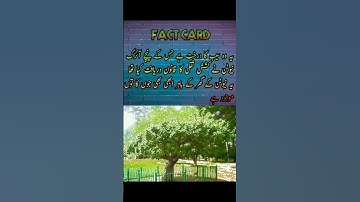 The Tree That Changed Physics FOREVER! 🍎 #Newton*| Information queen talking