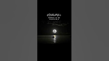 تلاوة من سورة القيامة/للقارئ الشيخ ياسر الدوسري