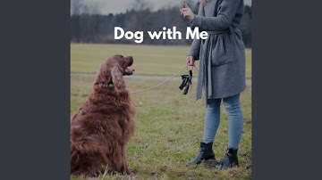 Scintillating Forgetting Mirrors