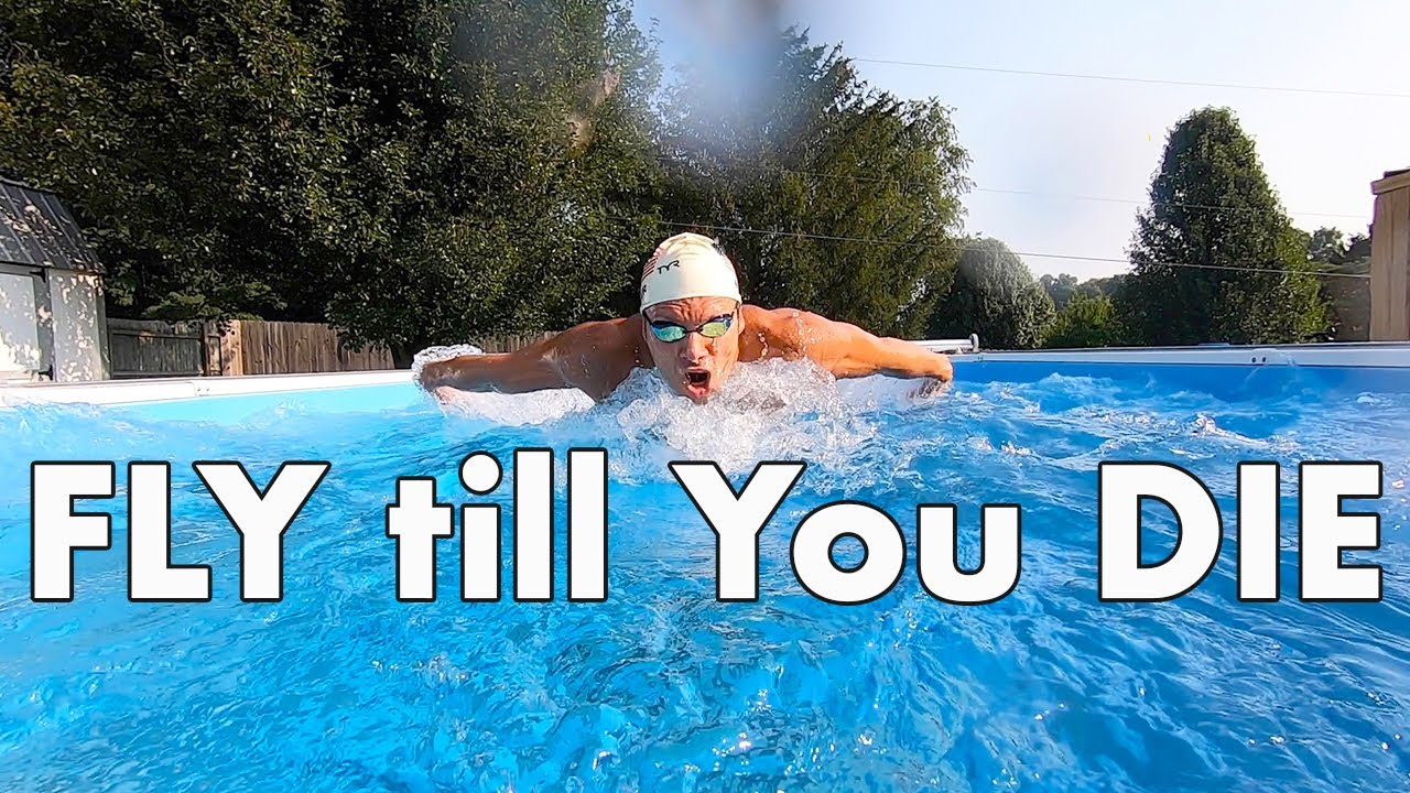 Butterfly: DO YOU have What it Takes?